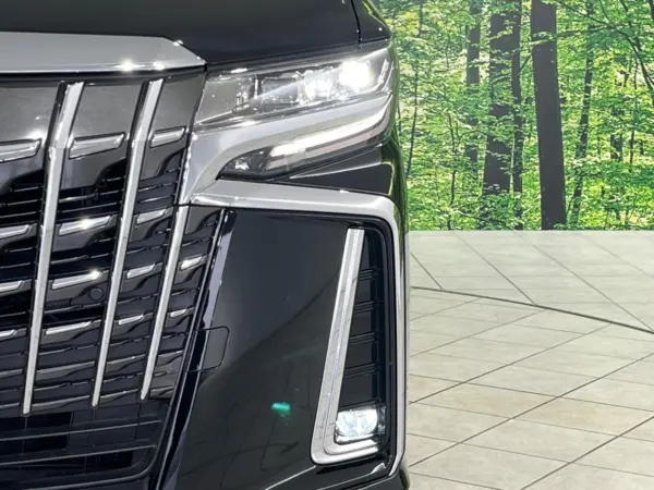 Toyota Alphard Hybrid 2.5 SR E-Four 4WD — photo 8