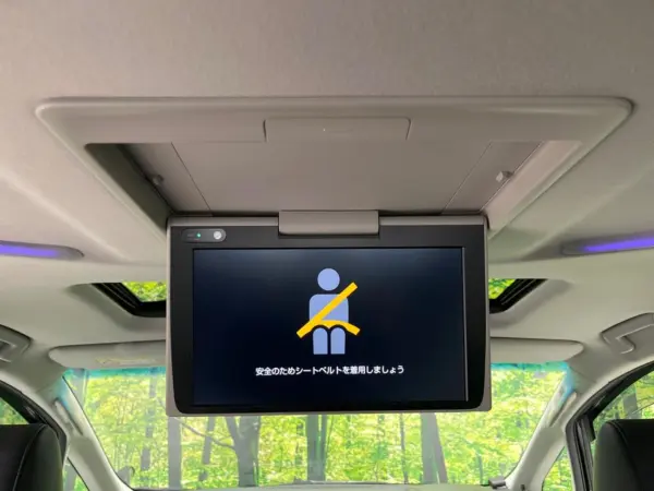 2020 Toyota Alphard — photo 3