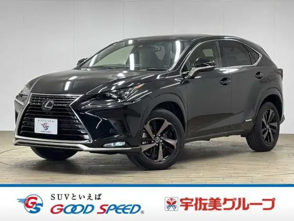 Lexus NX300h Spice & Chic Special Edition