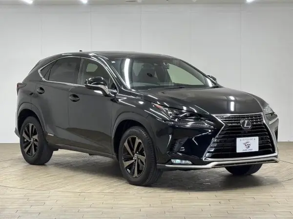 2021 Lexus Nx — photo 9 | Tuminion Kenya