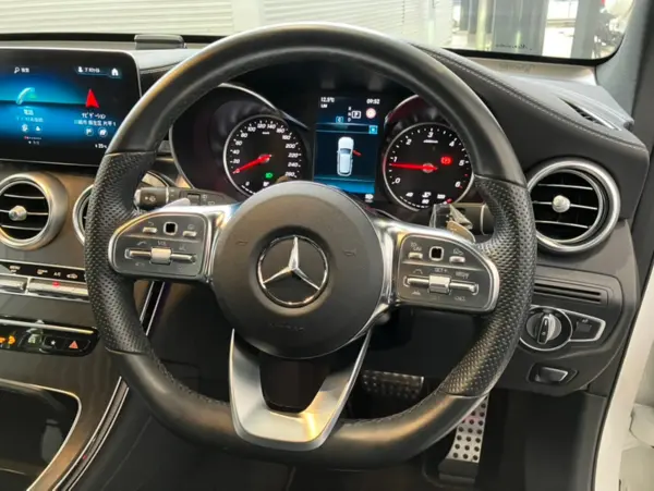 Mercedes-Benz GLC220 d 4MATIC AMG Line Diesel Turbo 4WD — photo 9