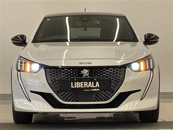 Peugeot 208GT Apple CarPlay R Camera (Pearl) — photo 9