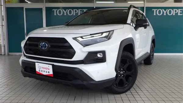Toyota RAV4 2.5 Hybrid Adventure Off-Road Package II E-Four 4WD (White) — thumbnail 1