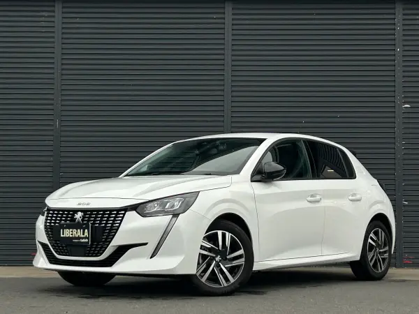 Peugeot 208 Allure Active Safety Brake ACC Lane Keep Assist Genuine Display Audio CarPlay Android Auto BT USB 360° Vision Camera Parking Sensor LED Headlights Auto Light ETC Dashcam Genuine 16in AW Non-Smoking Car (Bianca White) — photo 8