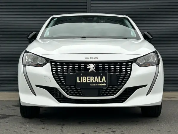 Peugeot 208 Allure Active Safety Brake ACC Lane Keep Assist Genuine Display Audio CarPlay Android Auto BT USB 360° Vision Camera Parking Sensor LED Headlights Auto Light ETC Dashcam Genuine 16in AW Non-Smoking Car (Bianca White) — photo 9