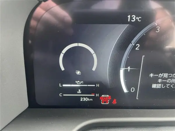 Lexus GX550 Version L 4WD Model Aero Mark Levinson PR Power Step (Pearl) — photo 9