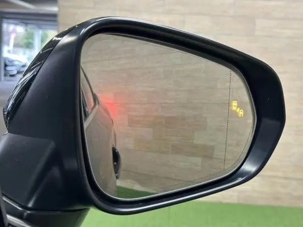 Lexus RX450hL 4WD — photo 8