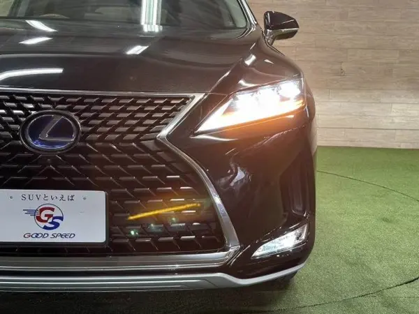 Lexus RX450hL 4WD — photo 9