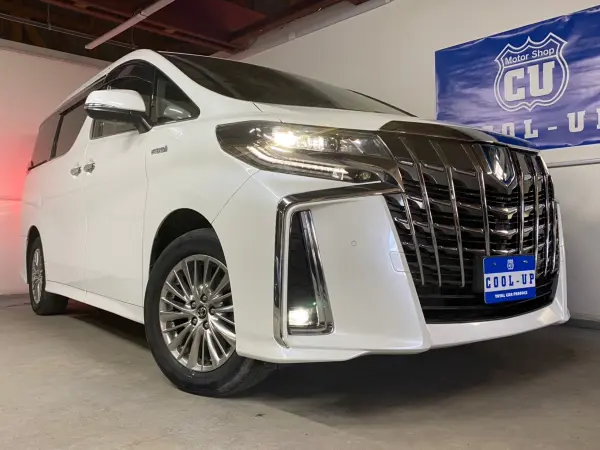 2019 Toyota Alphard — photo 2