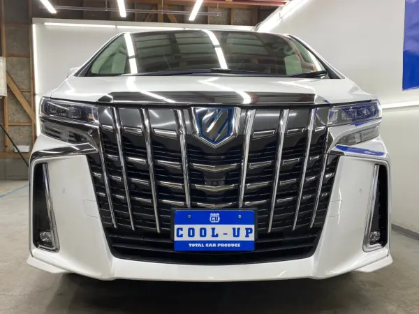 2019 Toyota Alphard — photo 3