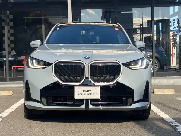 2025 Bmw X3 — photo 3 | Tuminion Kenya