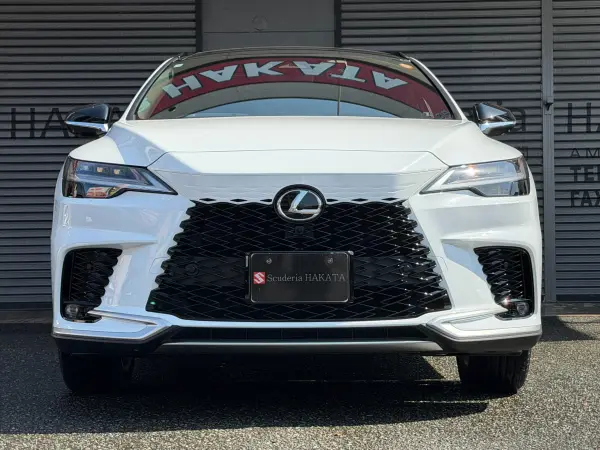 2025 Lexus Rx — photo 2