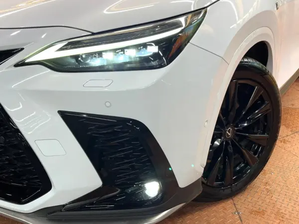 Lexus NX 350h F Sport — photo 9