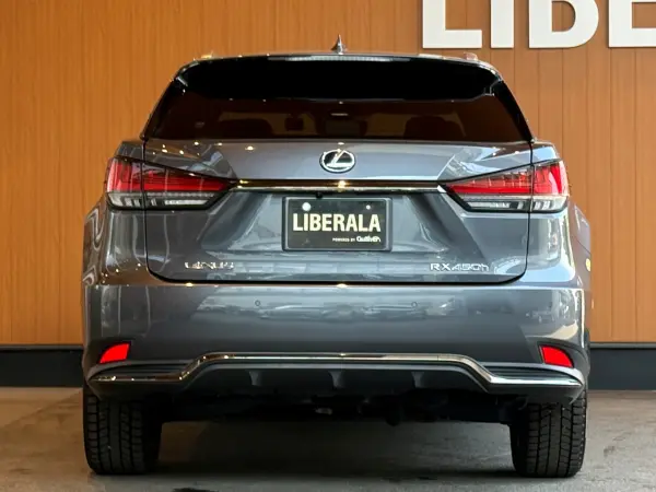 Lexus RX450h F Sport 4WD — photo 9