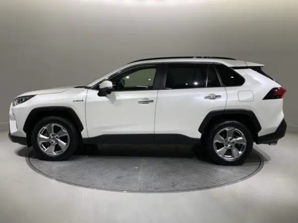 Toyota RAV4 2.5 Hybrid G E-Four 4WD Full-Seg Bluetooth Backup Monitor ETC Smart Key (Pearl Mica) — photo 9