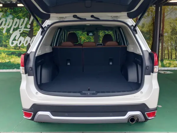 Subaru Forester 2.0 Advance 4WD — photo 8