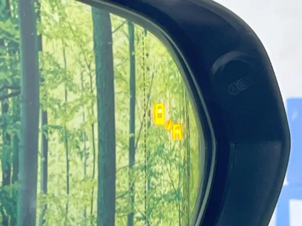 Lexus NX250 — photo 8