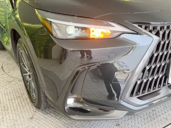 Lexus NX250 — photo 9