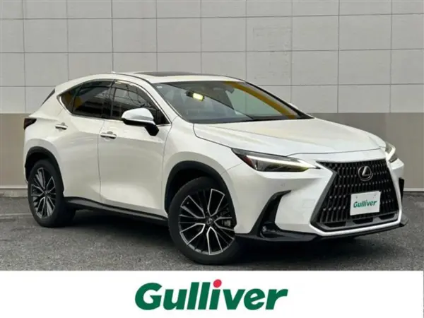 Lexus NX250 Version L Moonroof/One Owner/Factory 14-inch Display Audio Plus/Navigation/Full-Seg TV/Bluetooth/Miracast/Pre-Collision Safety/Lane Departure Alert (Sonic Quartz)