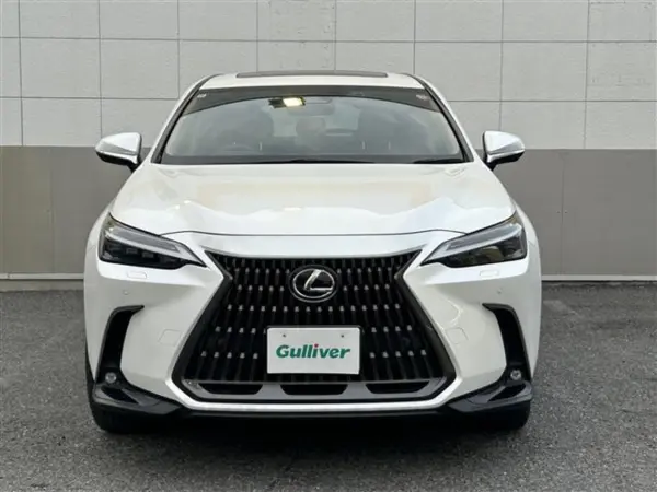 Lexus NX250 Version L Moonroof/One Owner/Factory 14-inch Display Audio Plus/Navigation/Full-Seg TV/Bluetooth/Miracast/Pre-Collision Safety/Lane Departure Alert (Sonic Quartz) — photo 8