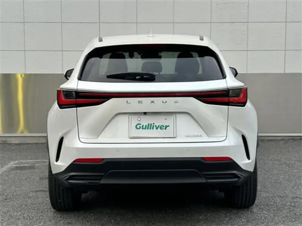 Lexus NX250 Version L Moonroof/One Owner/Factory 14-inch Display Audio Plus/Navigation/Full-Seg TV/Bluetooth/Miracast/Pre-Collision Safety/Lane Departure Alert (Sonic Quartz) — photo 9