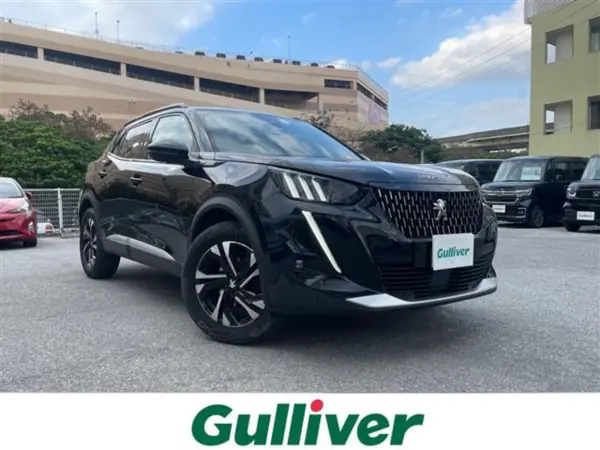 Peugeot 2008 GT Genuine Navigation (AM/FM) Backup Camera DAC (Black)