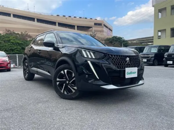 Peugeot 2008 GT Genuine Navigation (AM/FM) Backup Camera DAC (Black) — photo 8