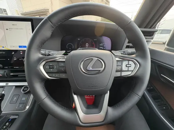 Lexus GX550 Version L 4WD Mark Levinson Premium Sound Panoramic Roof Digital Inner Mirror Modellista Aero Parts Power Side Steps Lexus Coat Dashcam HDMI Input Terminal (Sonic Quartz) — photo 9