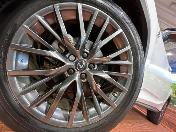 Lexus RX 300 F Sport — photo 9