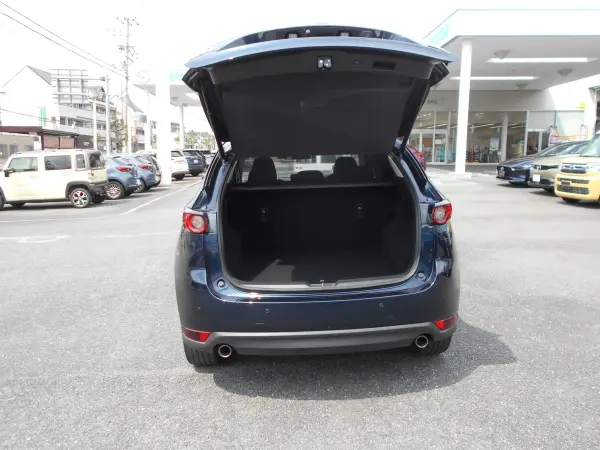 Mazda CX-5 2.5 25T L Package — photo 7