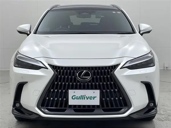 Lexus NX 350h Version L Leather Seats Sunroof (Sonic Quartz) — photo 8