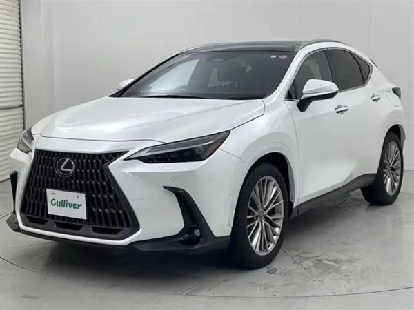 Lexus NX 350h Version L Leather Seats Sunroof (Sonic Quartz) — photo 9