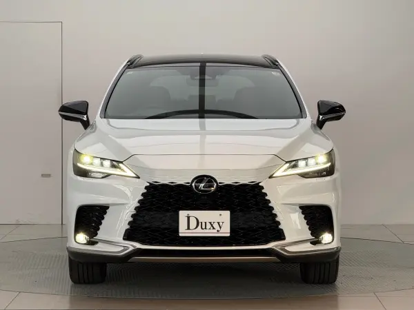 2025 Lexus Rx — photo 2