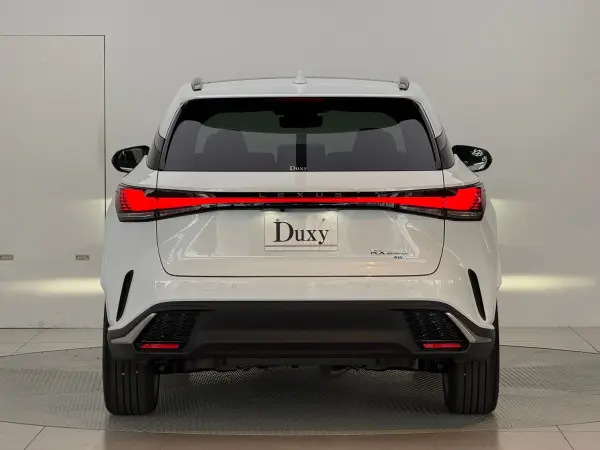 2025 Lexus Rx — photo 3