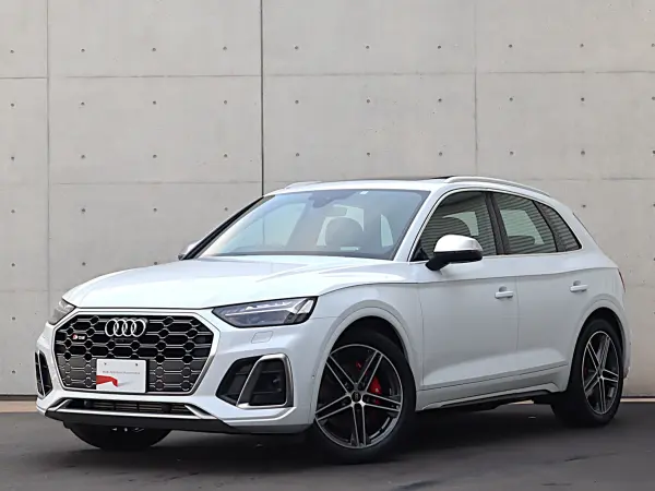 Audi SQ5 3.0 4WD Panorama Sunroof Adaptive S Sport Air Suspension Leather Package Comfort Package Red Brake Calipers Adaptive Cruise Control Side Assist Lane Keep Virtual Matrix LED (Glacier White Metallic)