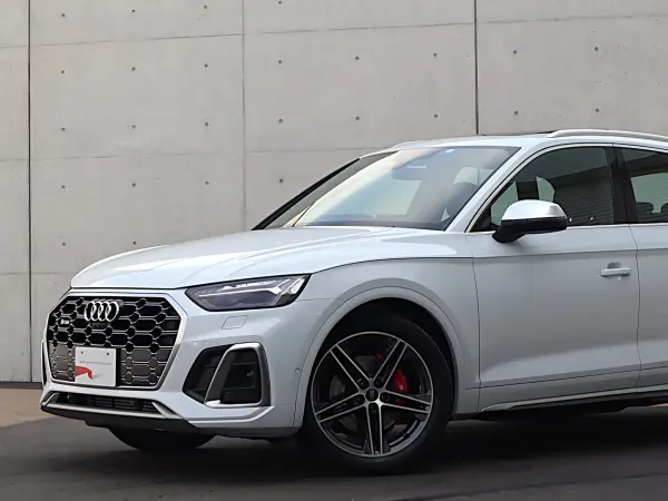 Audi SQ5 3.0 4WD Panorama Sunroof Adaptive S Sport Air Suspension Leather Package Comfort Package Red Brake Calipers Adaptive Cruise Control Side Assist Lane Keep Virtual Matrix LED (Glacier White Metallic) — photo 8