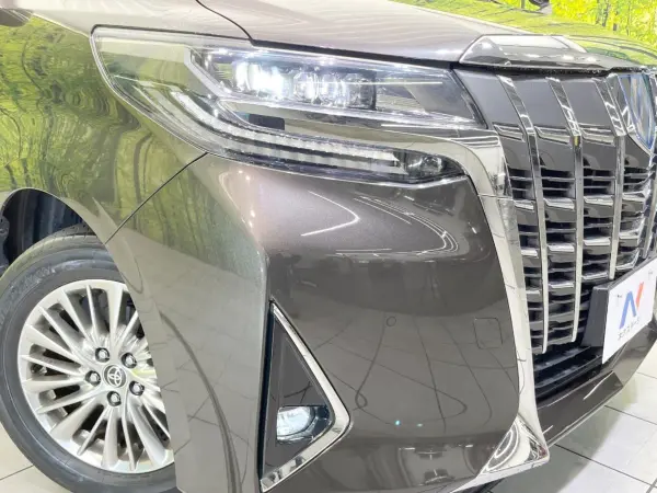 Toyota Alphard Hybrid 2.5 G E-Four 4WD Non-Smoking Sunroof Both (Graphite Metallic) — photo 8