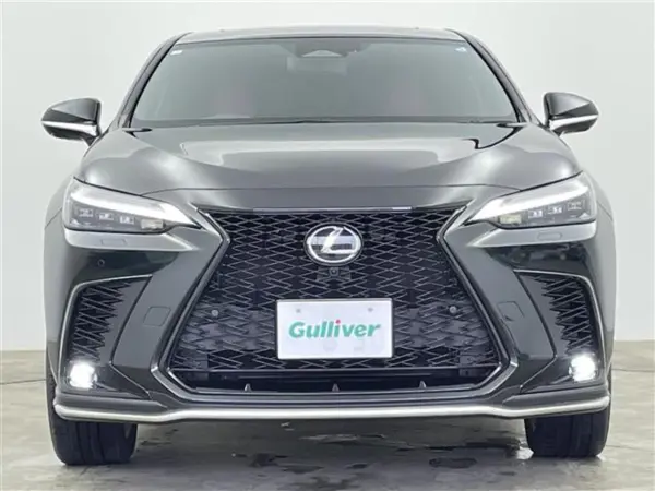 Lexus NX 350h F Sport — photo 8