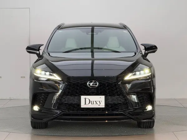2025 Lexus Rx — photo 2