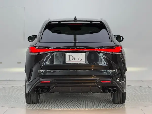 2025 Lexus Rx — photo 3