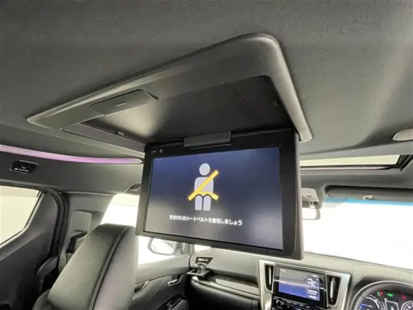 2022 Toyota Alphard — photo 3