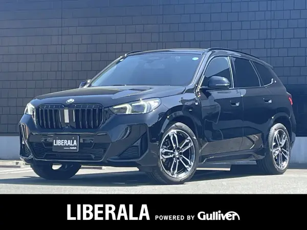 BMW X1 xDrive20i M Sport DCT 4WD