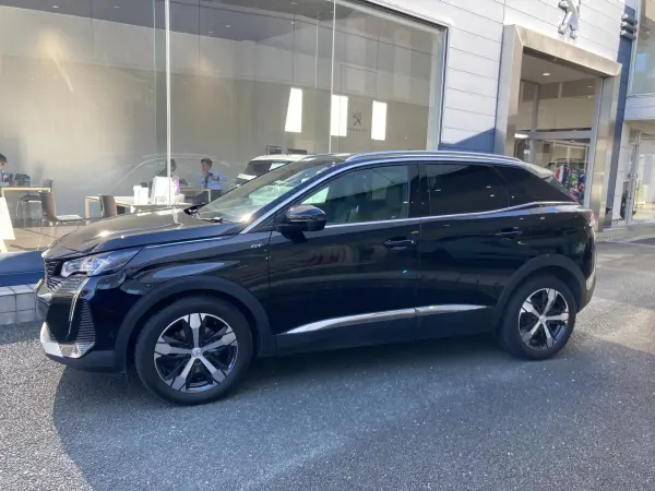 2021 Peugeot 3008 — photo 2