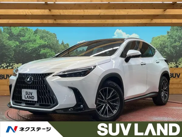 2023 Lexus Nx — photo 1