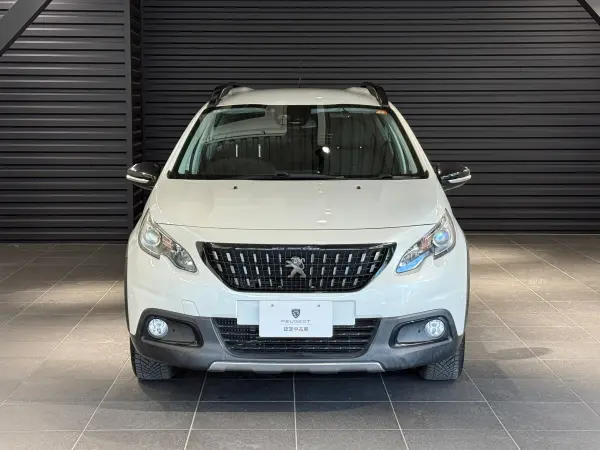 2019 Peugeot 2008 — photo 2