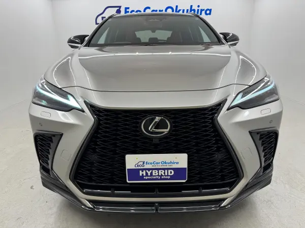 2024 Lexus Nx — photo 1