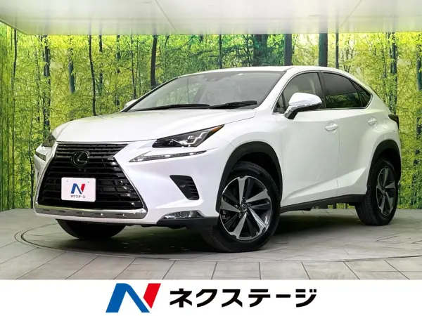 Lexus NX300 I Package 4WD — thumbnail 1