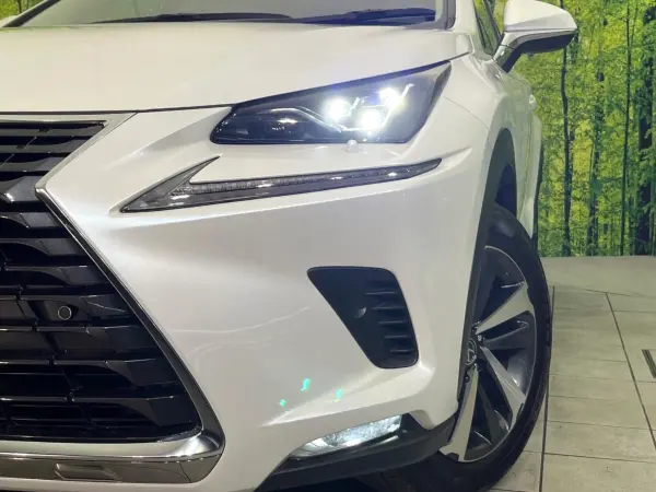 Lexus NX300 I Package 4WD — photo 9