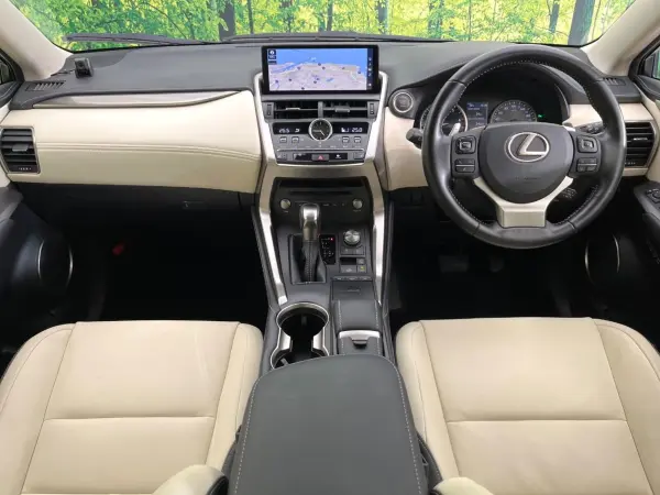 2020 Lexus Nx — photo 2