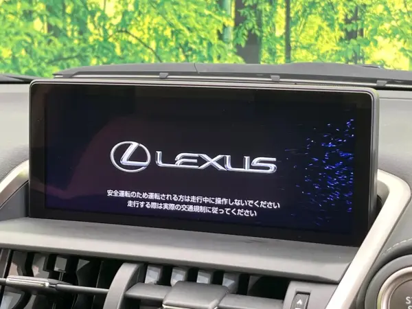 Lexus NX300 I Package 4WD — photo 7